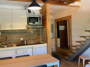 Charmant 2 pièces pour 5 pers, au pied des pistes, 24m², Vieil Alpe, Alpe d'Huez - FR-1-405-217 Huez